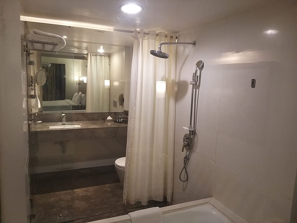 Premier Room | Bathroom | Free toiletries, hair dryer, towels