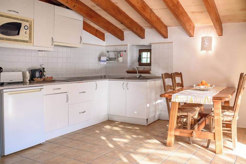 Family Apartment, 2 Bedrooms, Terrace | Private kitchen | Fridge