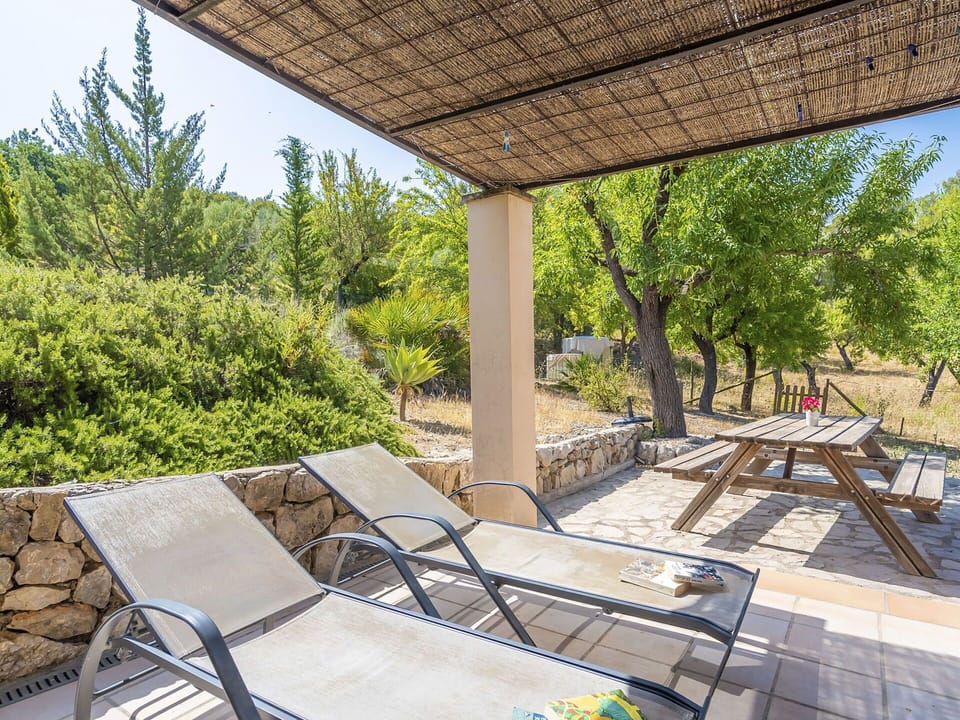 Property, Plant, Shade, Wood, Outdoor Furniture, Tree, Flowerpot, Chair, Leisure, Swimming Pool