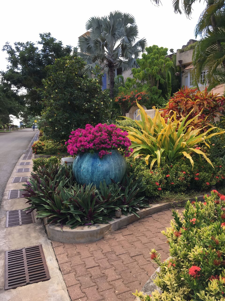 The stunning gardens at Port St Charles