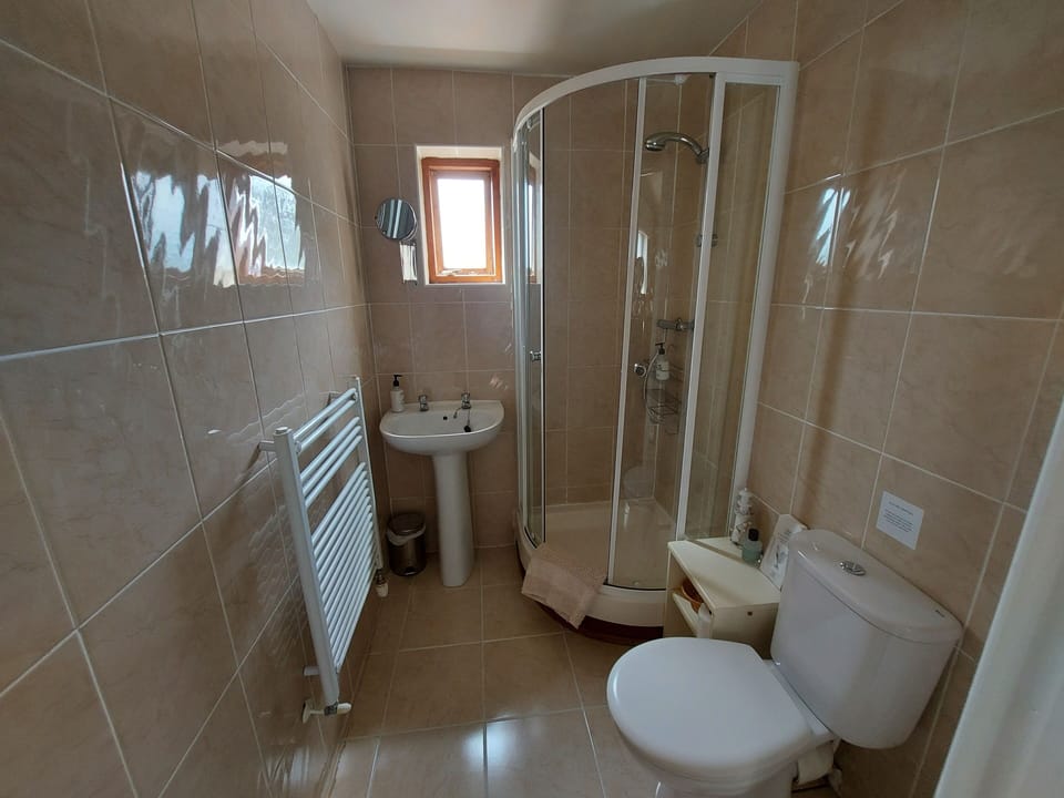 Double Room (1) | Bathroom | Shower, hair dryer, towels, soap