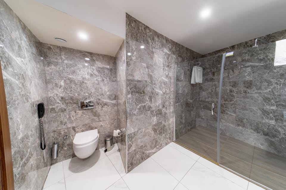 Hydromassage showerhead, hair dryer, bathrobes, slippers