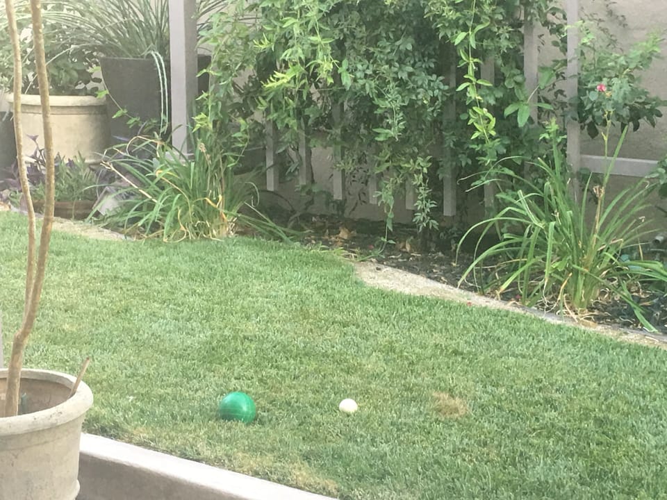 Bocce Ball