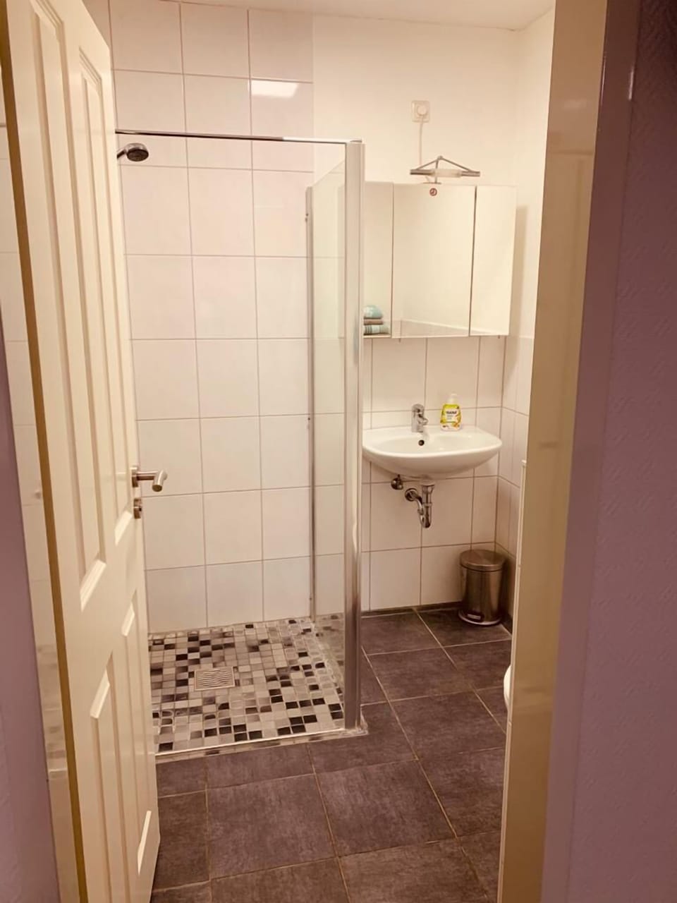 Twin Room | Bathroom | Shower, hair dryer, towels, soap