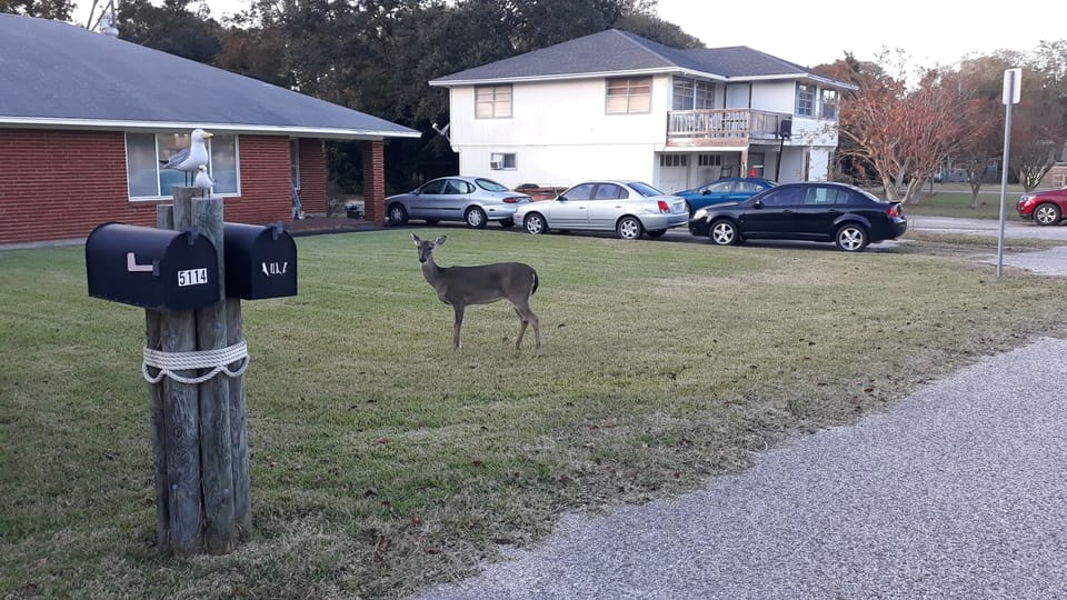 Property grounds