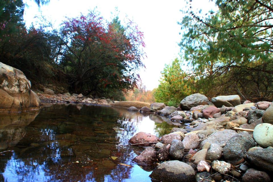 Hiking