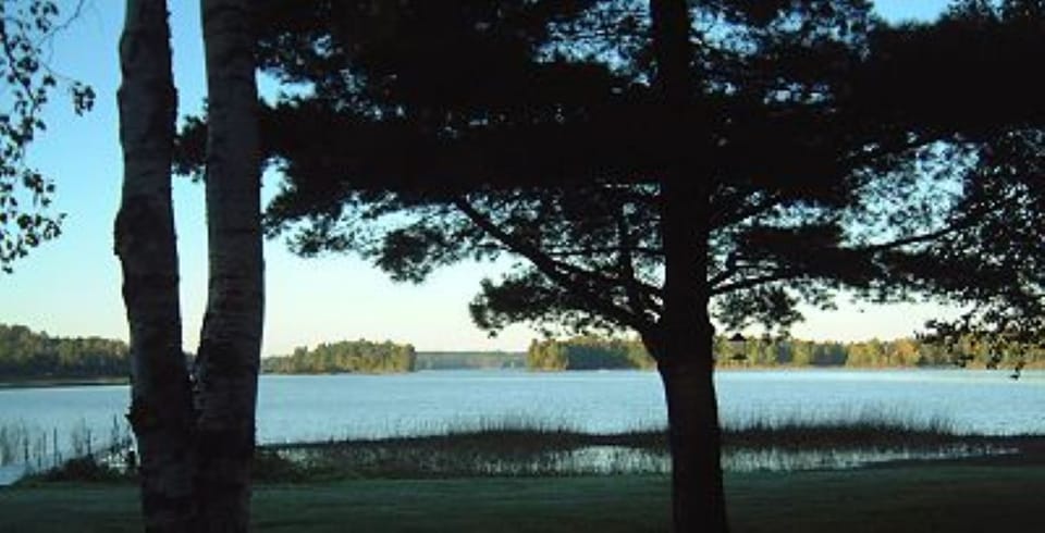 Western Sunset Views