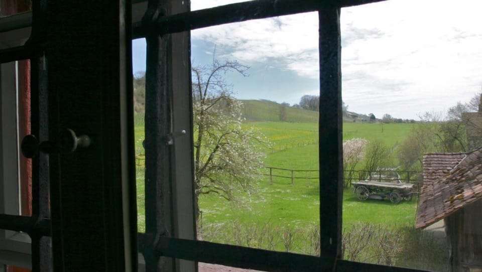 Land view from property