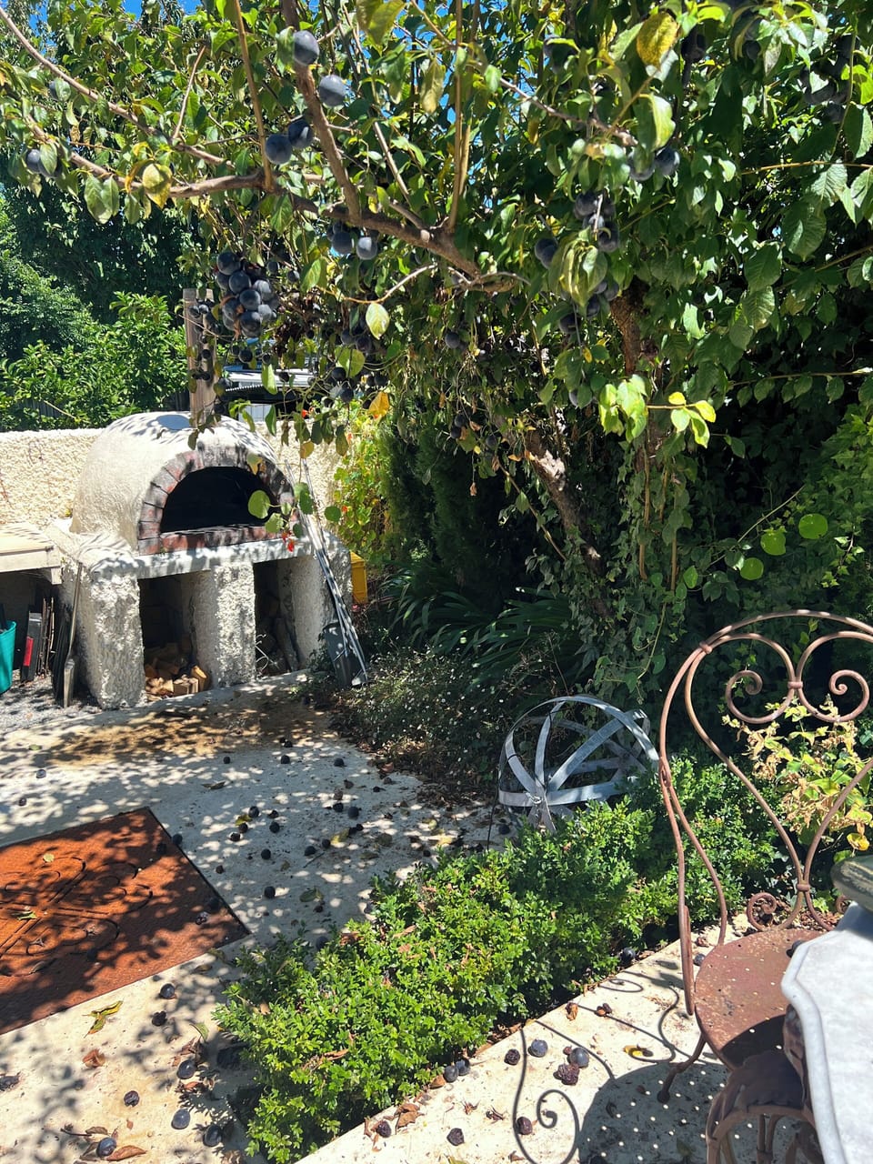 Outside wood oven, pizza anyone?