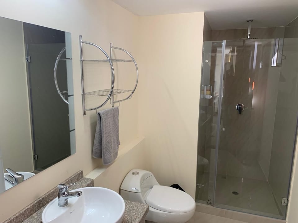 Shower, hair dryer, towels