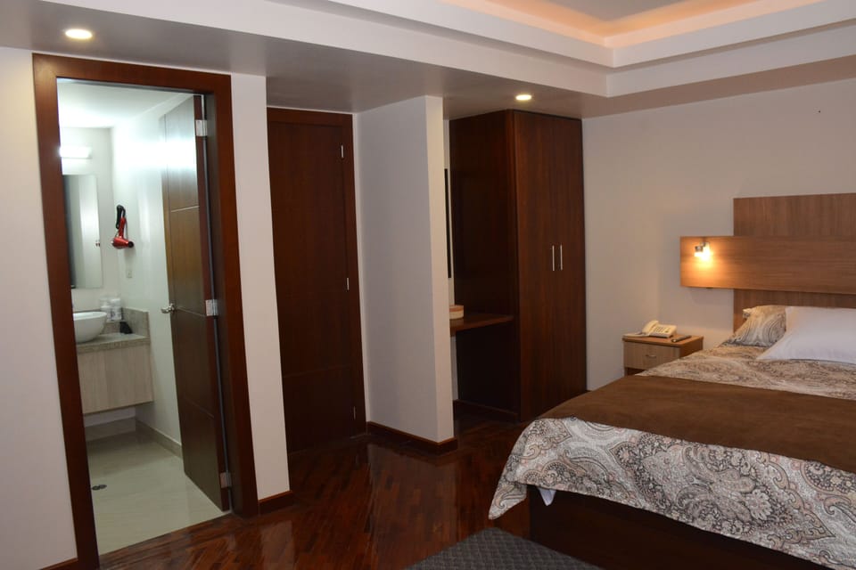 Basic Room | Minibar (free items), desk, laptop workspace, WiFi (free)