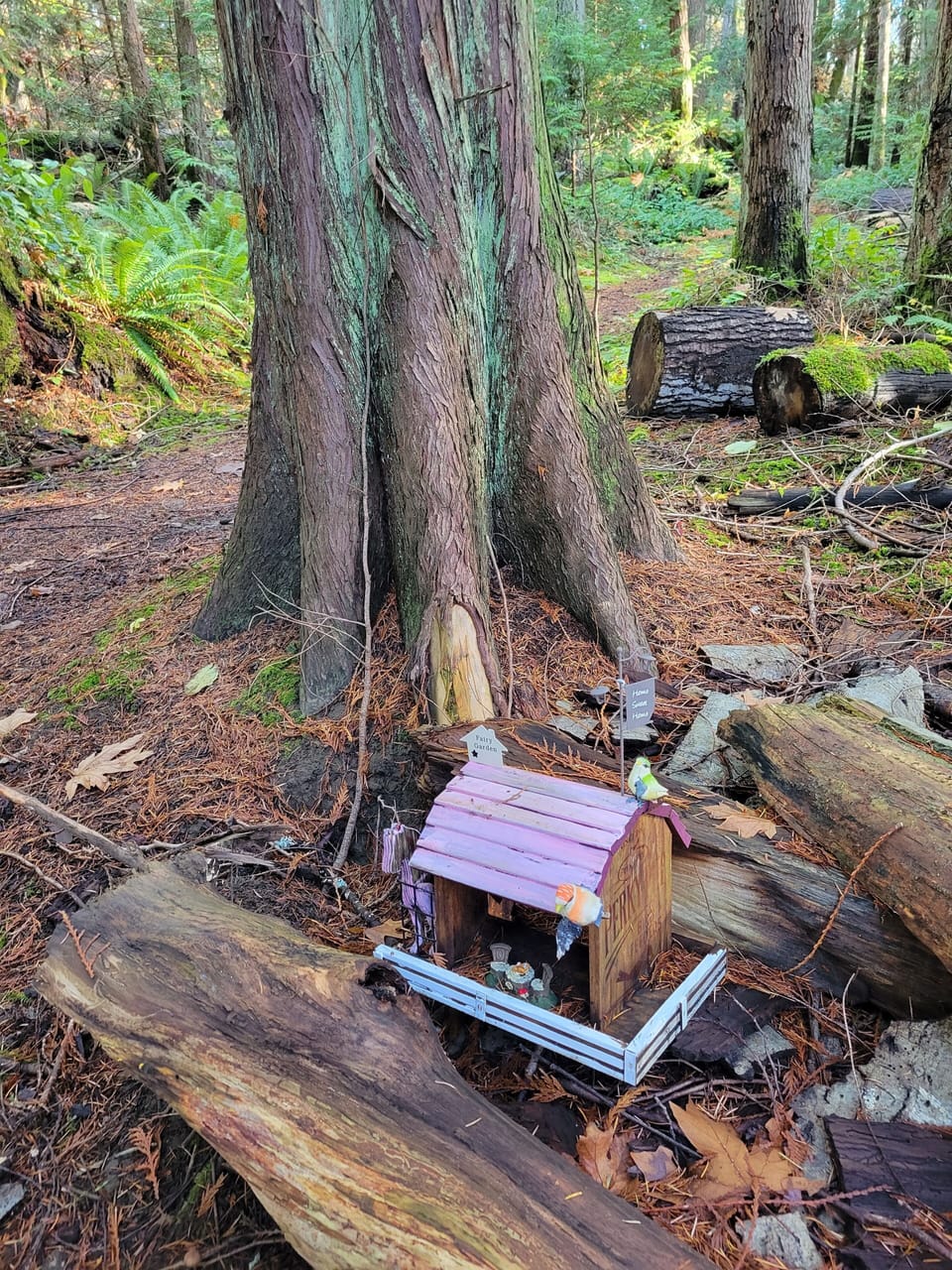Spotting fairy houses or making fairy houses is such fun for the little ones.