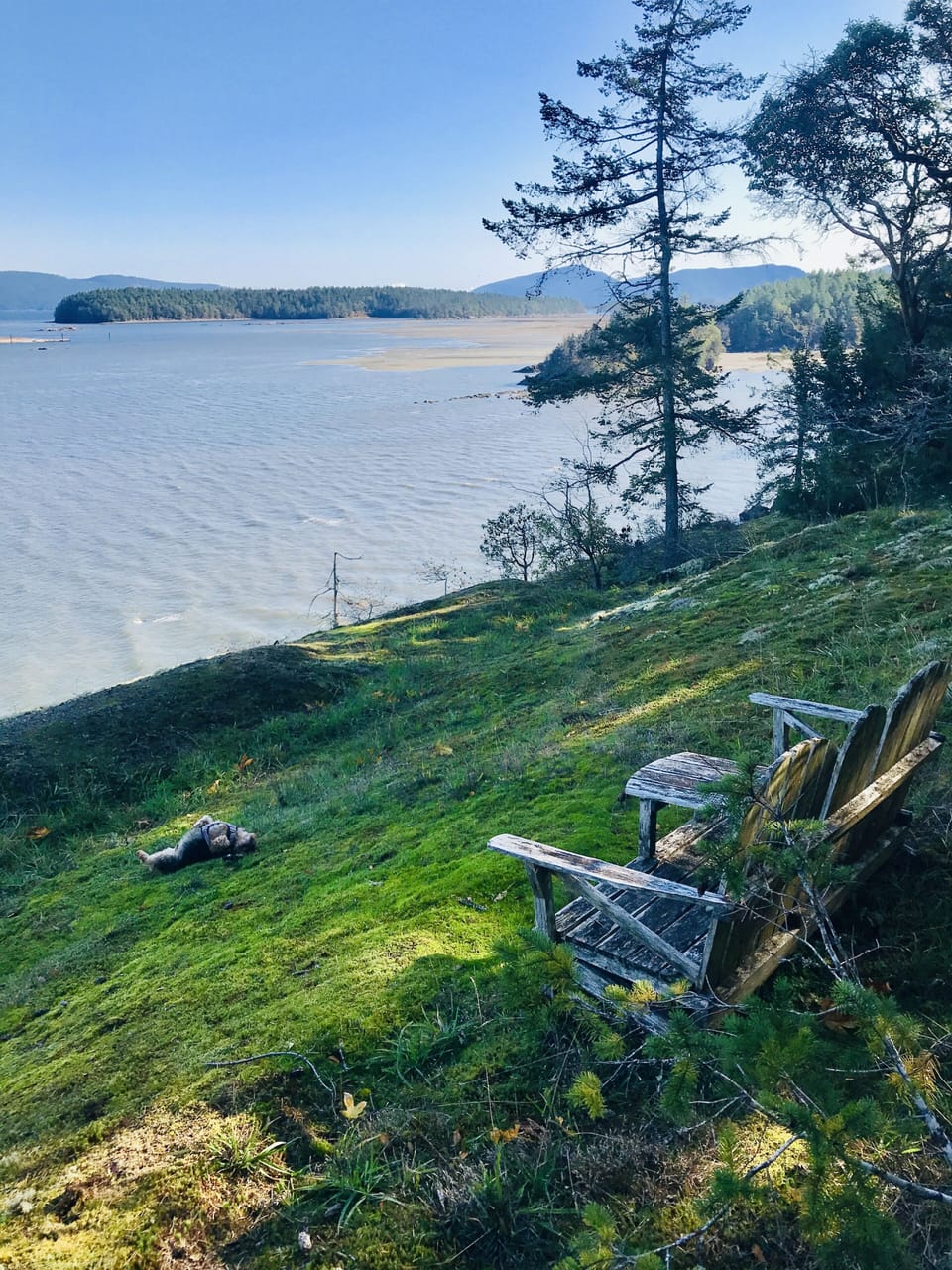 Ocean bluff with seating and views. 