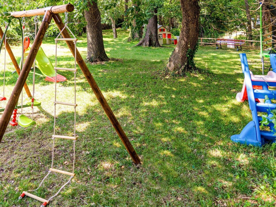 Grass, Tree, Plant, Recreation, Yard, Backyard