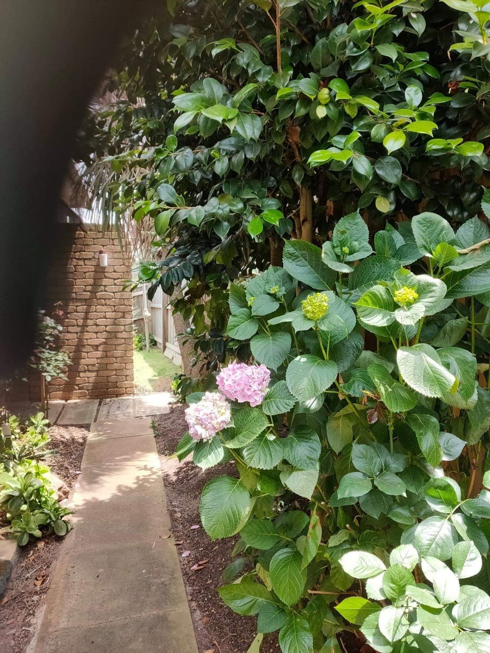 Entry Path 