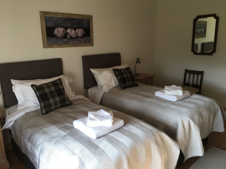 Twin room