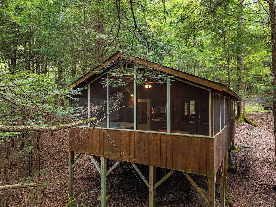 Cabin 3