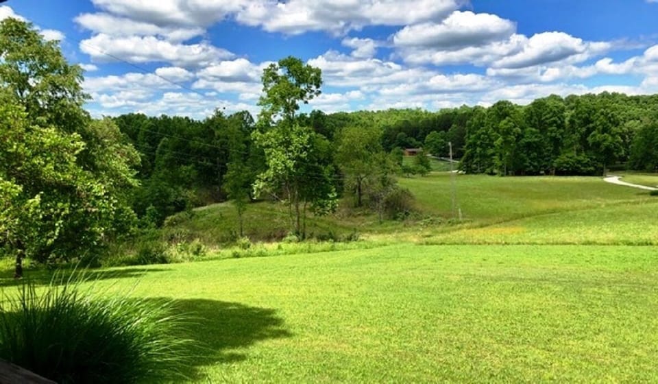 view from front porch
