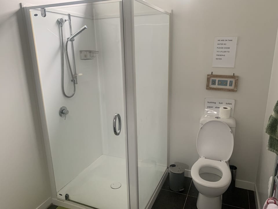 Main Shower and Toilet 