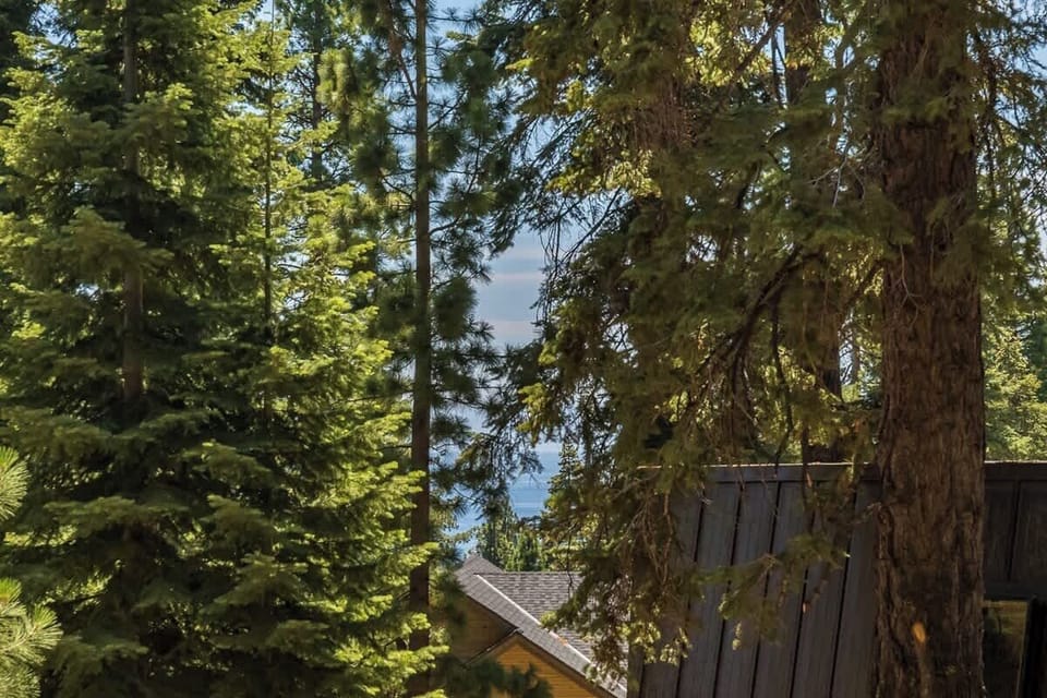 Peek-a-views of the lake through the trees