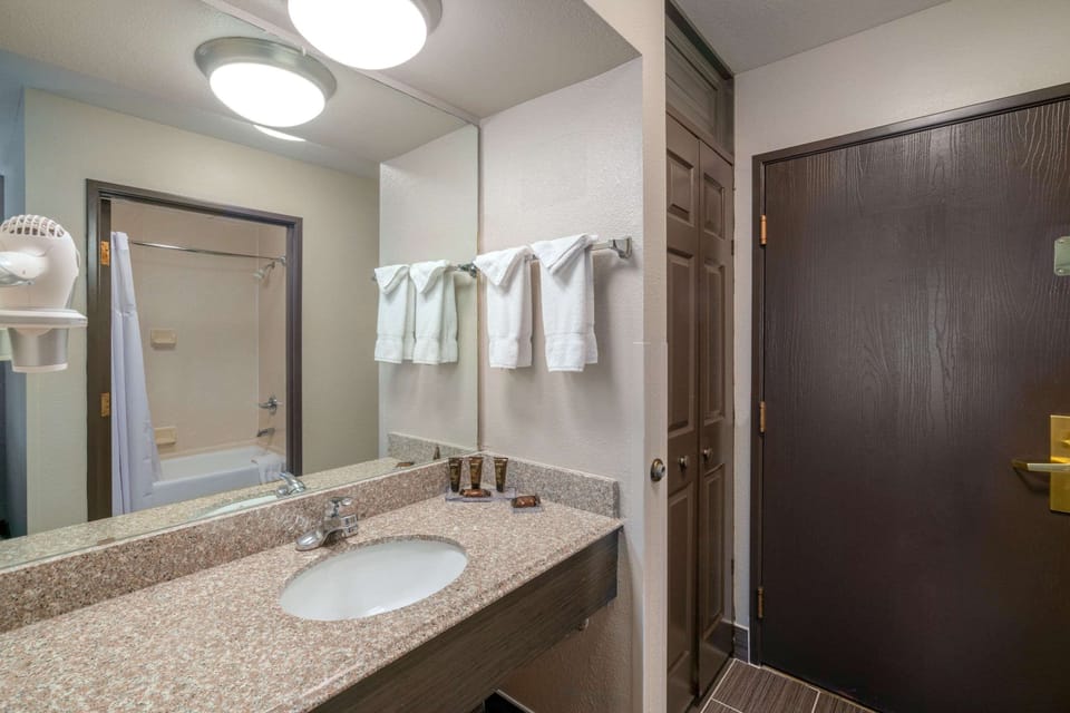 Eco-friendly toiletries, hair dryer, towels