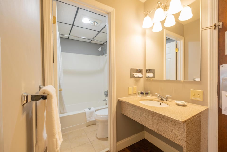 Combined shower/tub, free toiletries, hair dryer, towels