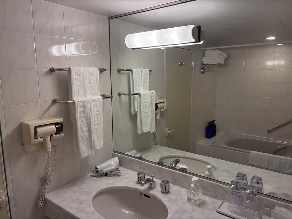 Combined shower/tub, free toiletries, hair dryer, slippers