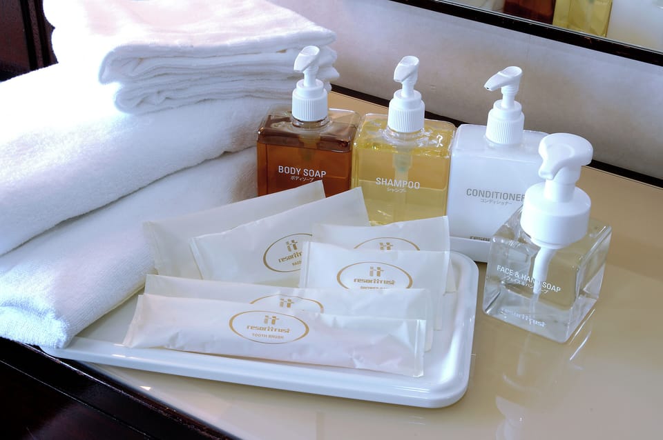 Combined shower/tub, free toiletries, hair dryer, slippers