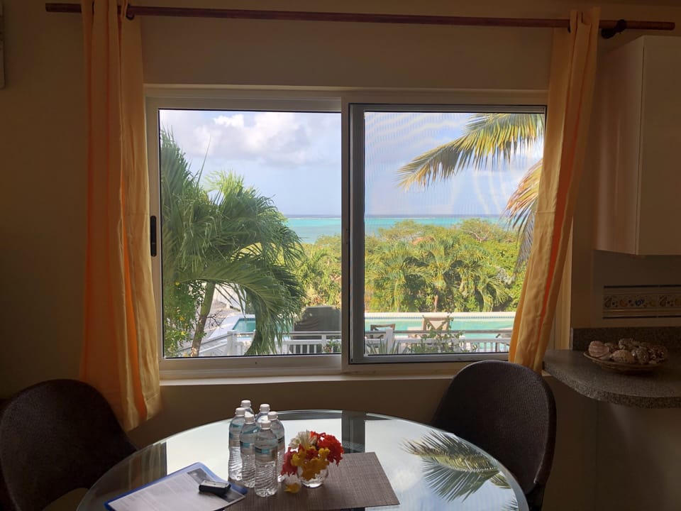 Ocean and pool view from living room.