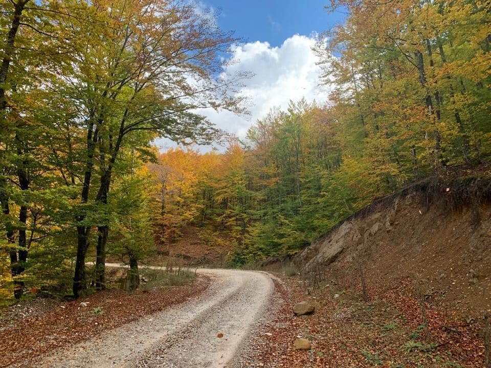 Hiking