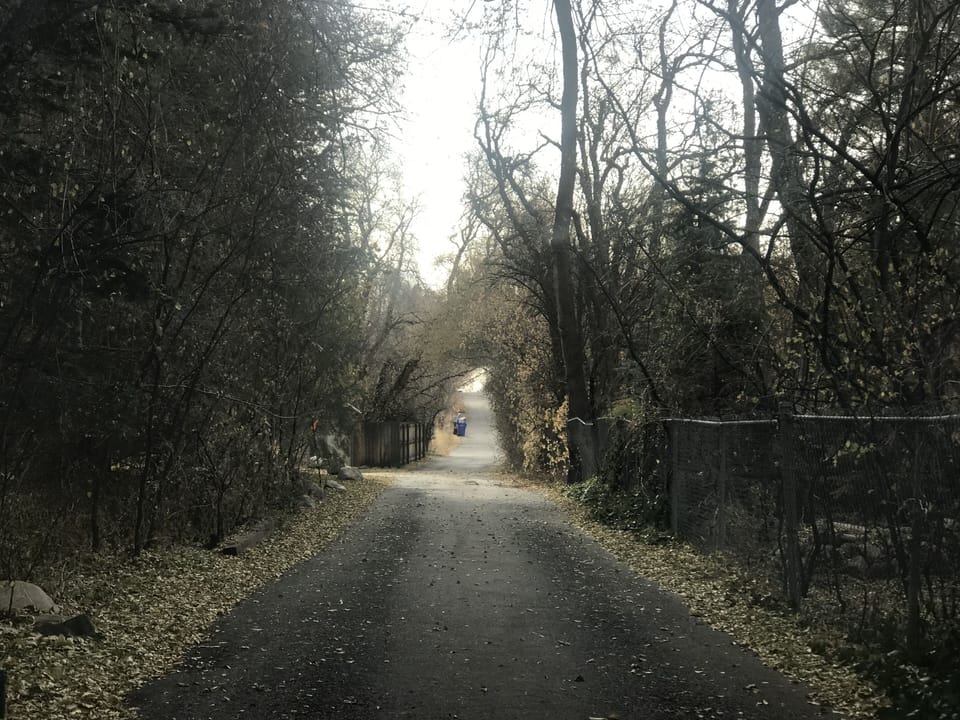 Oles Lane
