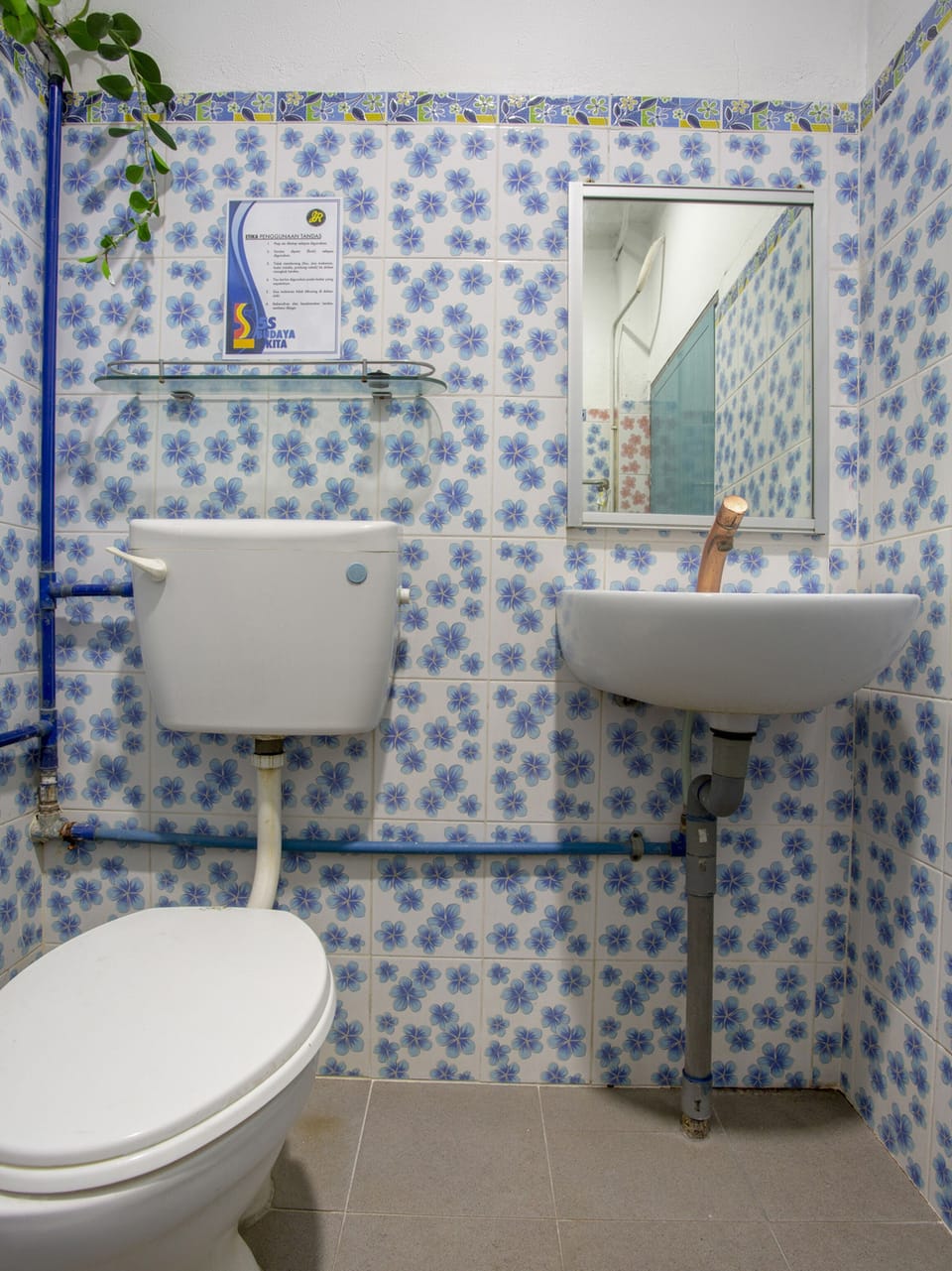 Shower, bidet, towels