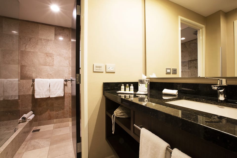 Shower, free toiletries, hair dryer, towels
