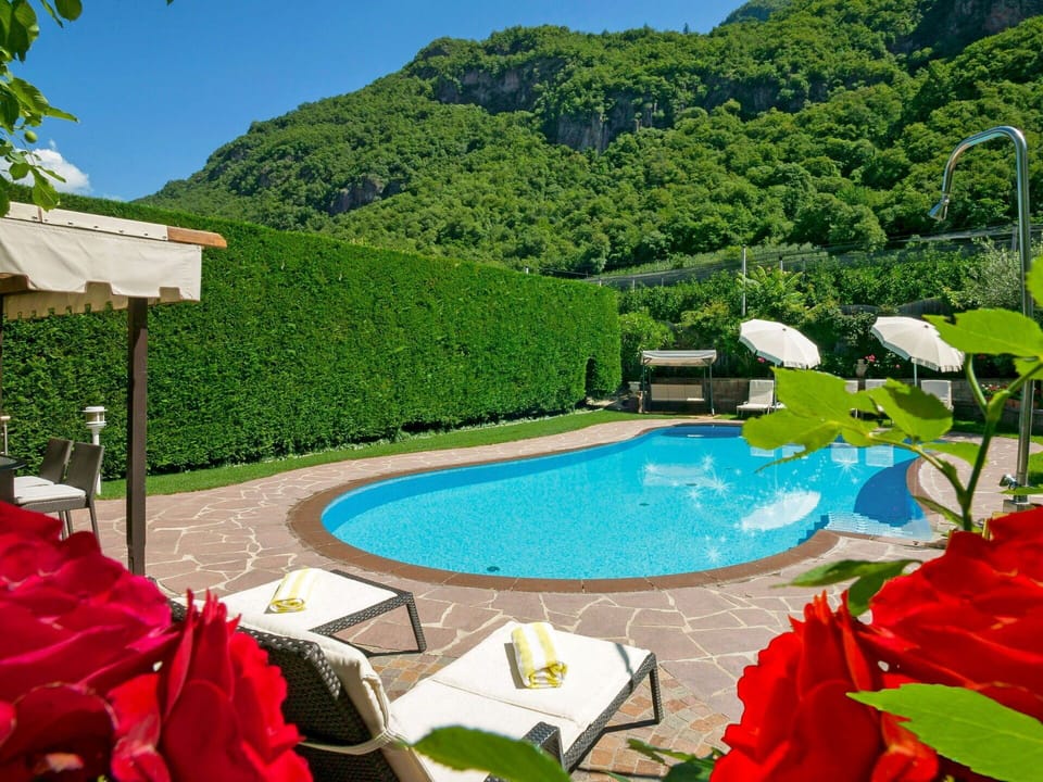 Water, Plant, Property, Swimming Pool, Botany, Nature, Azure, Outdoor Furniture, Tree, Shade