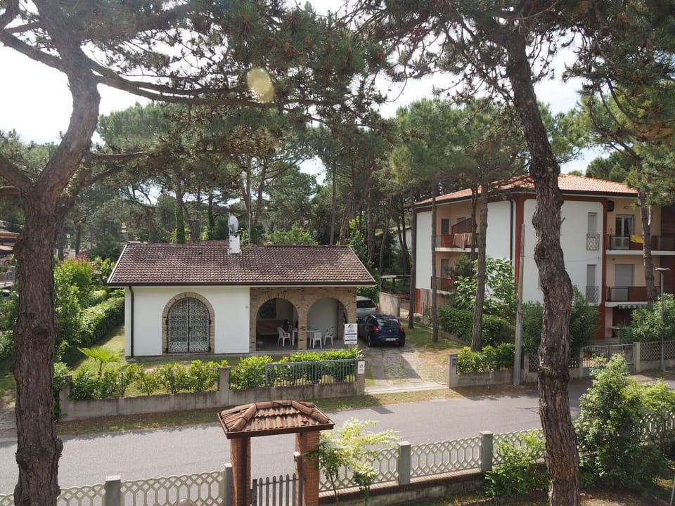 Plant, Property, Building, Sky, Window, Tree, Neighbourhood, Cottage, Wall, Residential Area