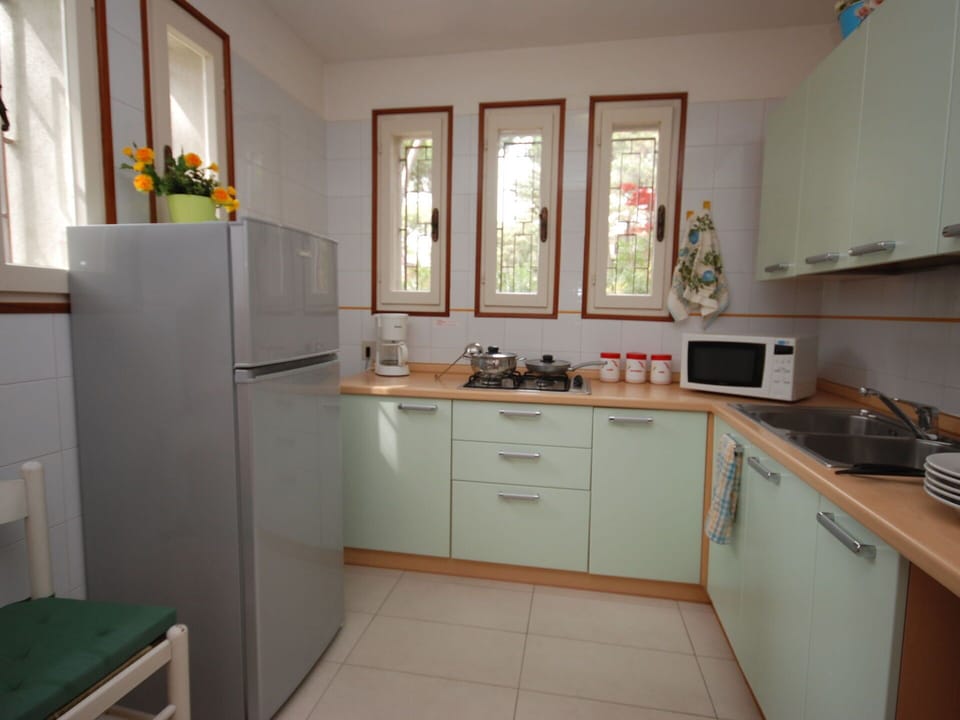 Cabinetry, Kitchen Sink, Property, Sink, Countertop, Building, Kitchen Stove, Houseplant, Window, Kitchen