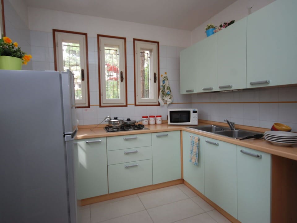 Cabinetry, Property, Countertop, Kitchen Appliance, Interior Design, Kitchen, Kitchen Stove, Houseplant, Wood, Home Appliance