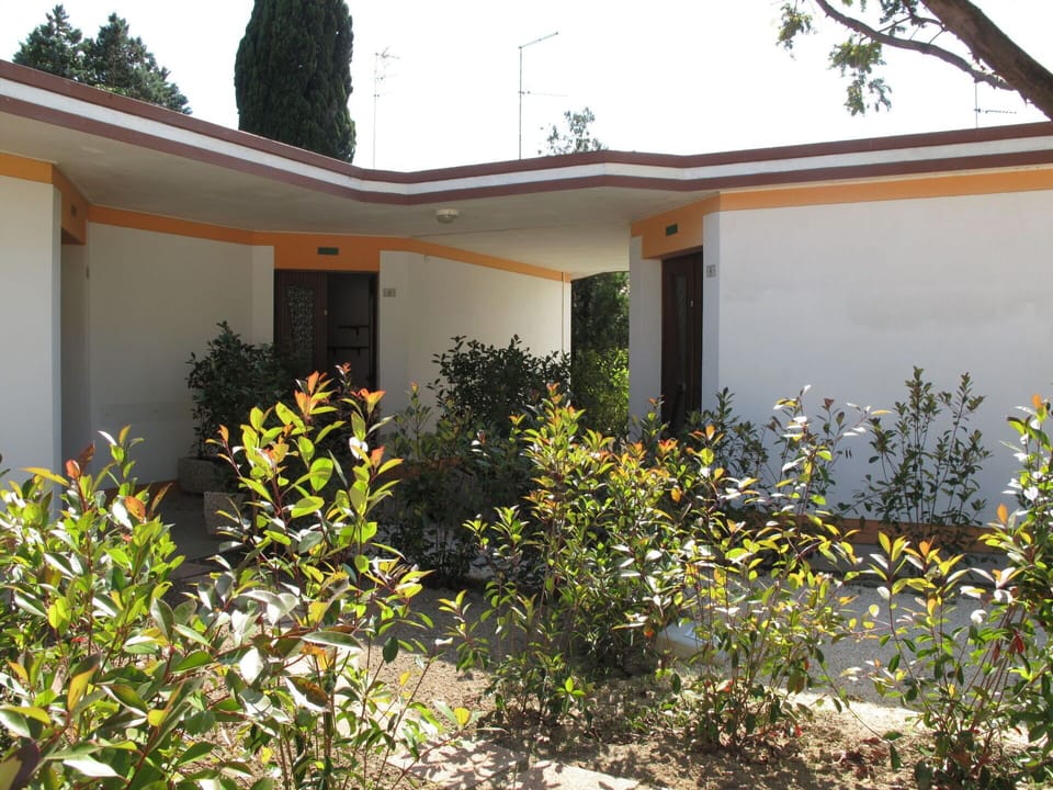 Plant, Plant Community, Building, Sky, Shade, Window, Tree, Residential Area, Grass, Shrub