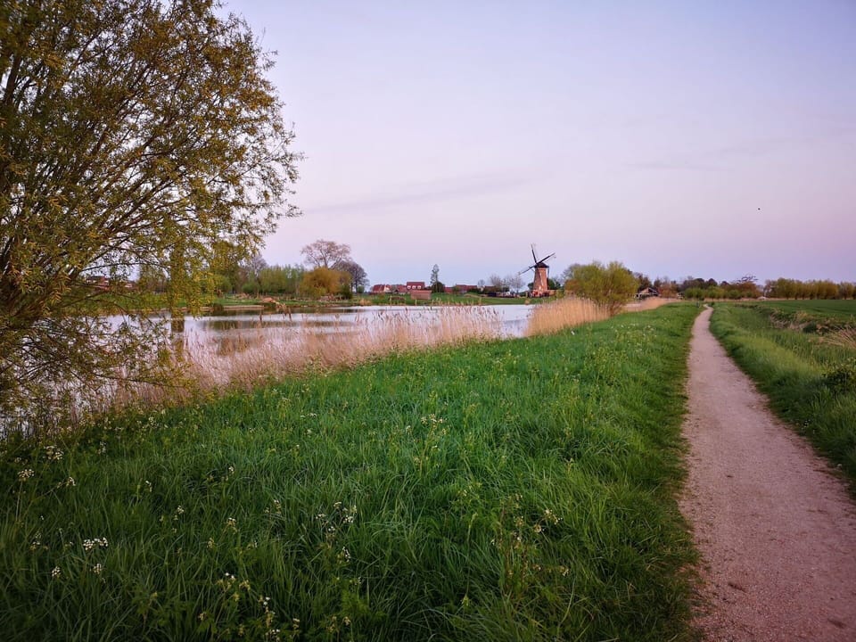 Sky, Plant, Water, Natural Landscape, Tree, Body Of Water, Grass, Rural Area, Plain, Grassland