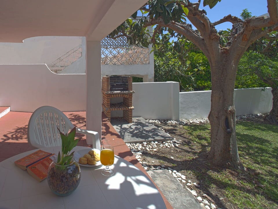Plant, Leaf, Flowerpot, Shade, Building, Tree, Wood, Interior Design, Houseplant, Tableware