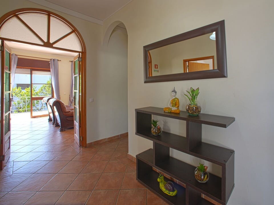 Mirror, Plant, Furniture, Houseplant, Picture Frame, Wood, Building, Flowerpot, Living Room, Floor