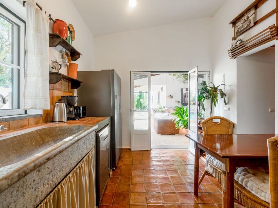 Property, Cabinetry, Furniture, Sink, Countertop, Plant, Houseplant, Window, Wood, Tap