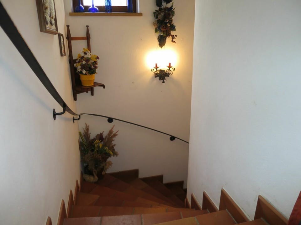 Plant, Building, Flower, Houseplant, Wood, Lighting, Interior Design, Architecture, Stairs