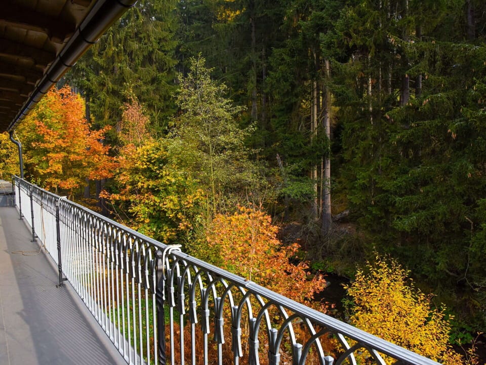 Nature, Leaf, Tree, Guard Rail, Autumn, Natural Landscape, Bridge, Woody Plant, Plant, Infrastructure