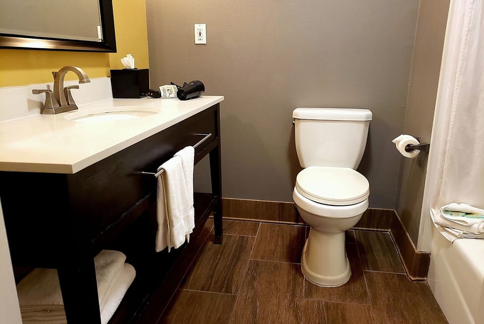 Eco-friendly toiletries, hair dryer, towels