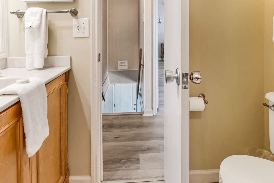 Bathroom off the Hallway