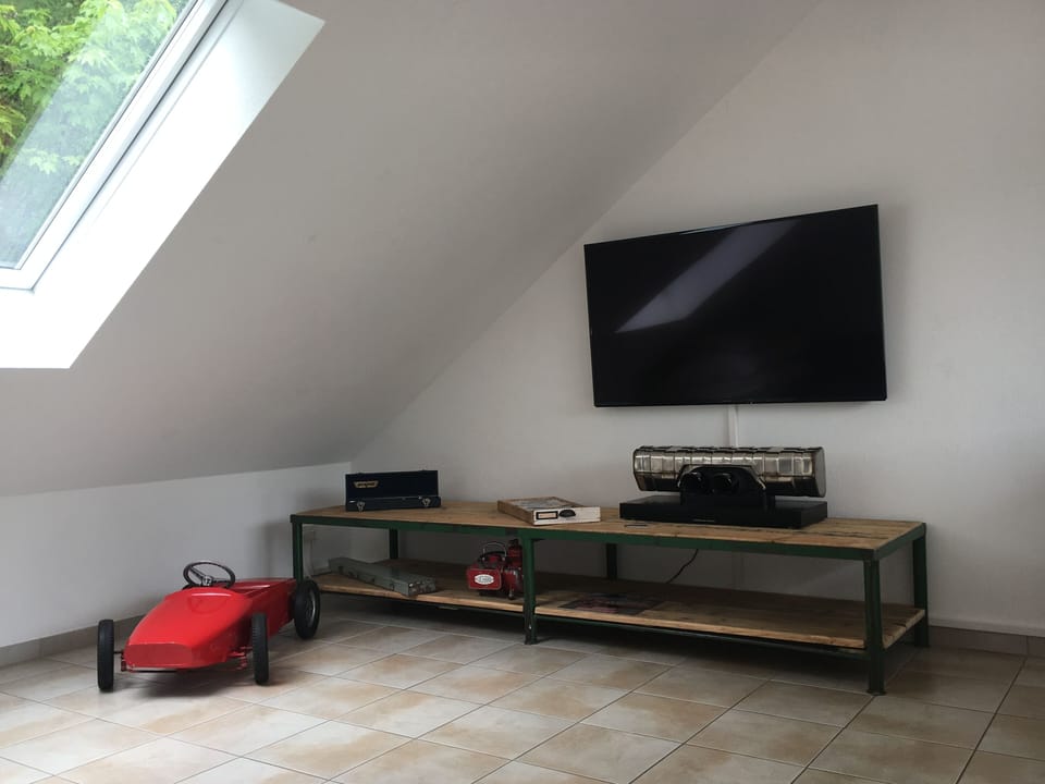 Television