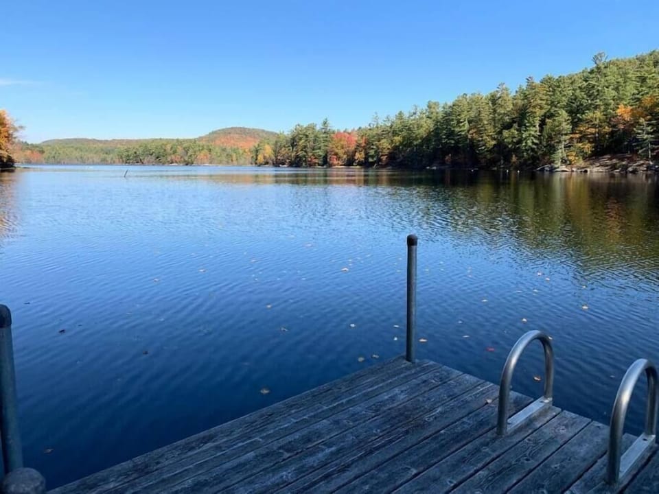 Jump off the dock!!
