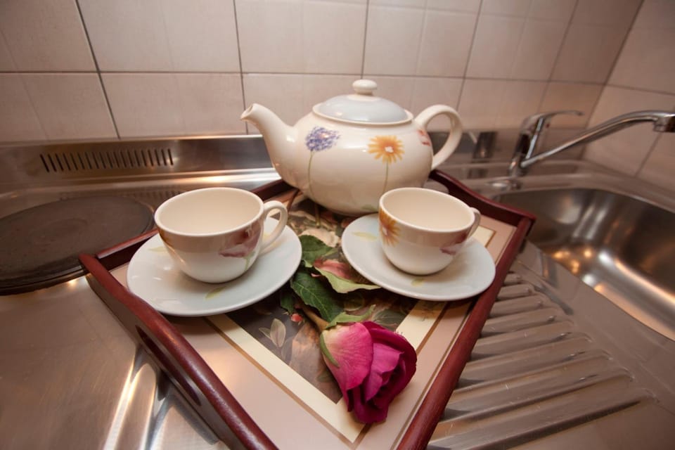 Fridge, stovetop, coffee/tea maker, electric kettle