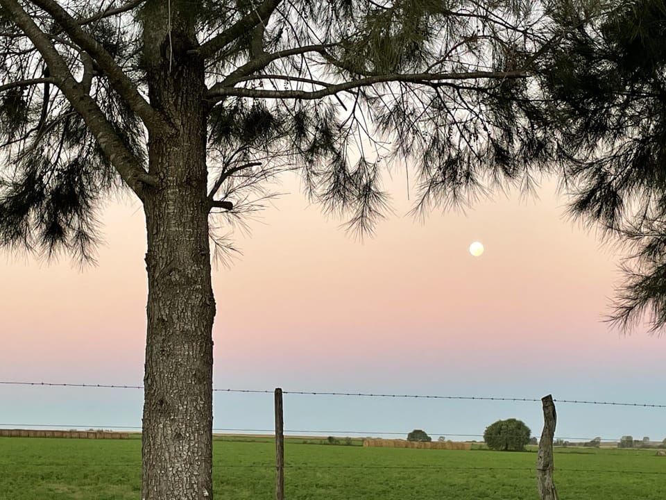 Country views